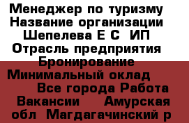 Менеджер по туризму › Название организации ­ Шепелева Е.С, ИП › Отрасль предприятия ­ Бронирование › Минимальный оклад ­ 30 000 - Все города Работа » Вакансии   . Амурская обл.,Магдагачинский р-н